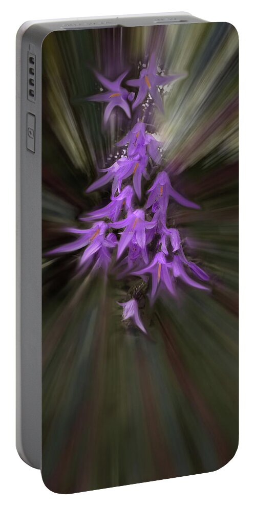 Creeping Bellflower Portable Battery Charger featuring the photograph Stars in the Morning Sun by Wayne King