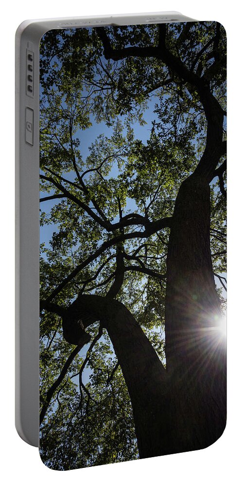 Chicago Portable Battery Charger featuring the photograph Stately Tree by Norman Reid