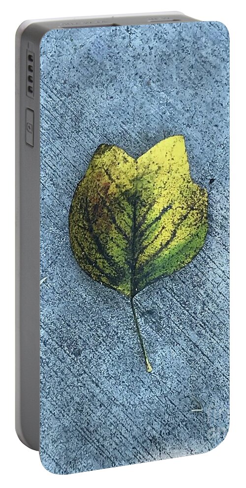 Air Portable Battery Charger featuring the photograph Stomata Song by Tiesa Wesen