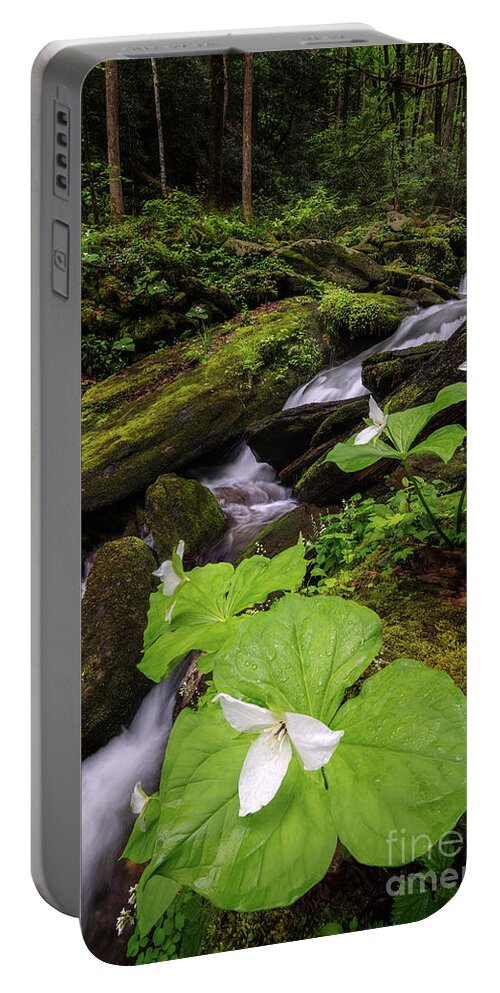 Trillium Portable Battery Charger featuring the photograph Stream Side Trillium by Anthony Heflin