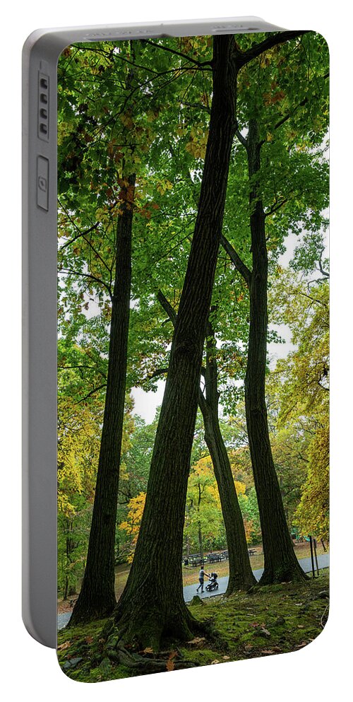 Autumn Portable Battery Charger featuring the photograph Strolling Through the Park by Kevin Suttlehan