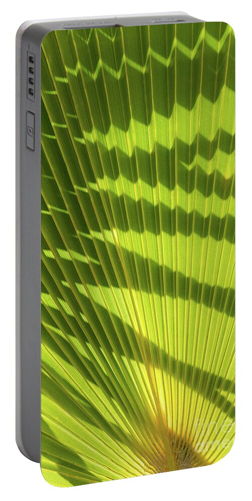 Palm Leaf Portable Battery Charger featuring the photograph Structure of green palm leaf with shadows 2 by Adriana Mueller