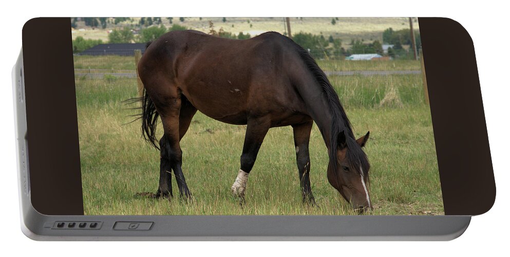 Horse Portable Battery Charger featuring the photograph Sturdy Mare at Lunch by Kae Cheatham