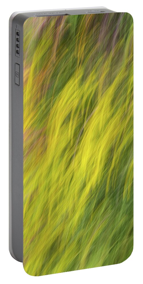 Impressionistic Portable Battery Charger featuring the photograph Summer Garden Dreams by Elvira Peretsman