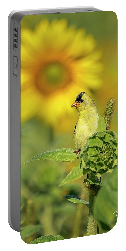 Sunflower Portable Battery Charger featuring the photograph Summer Gold by Peg Runyan