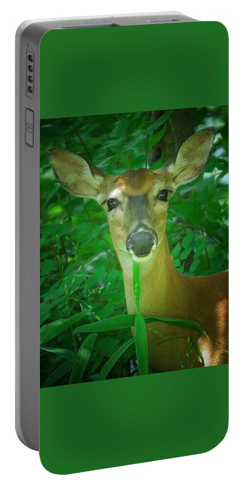 Deer Portable Battery Charger featuring the photograph Summer Lady by DArcy Evans
