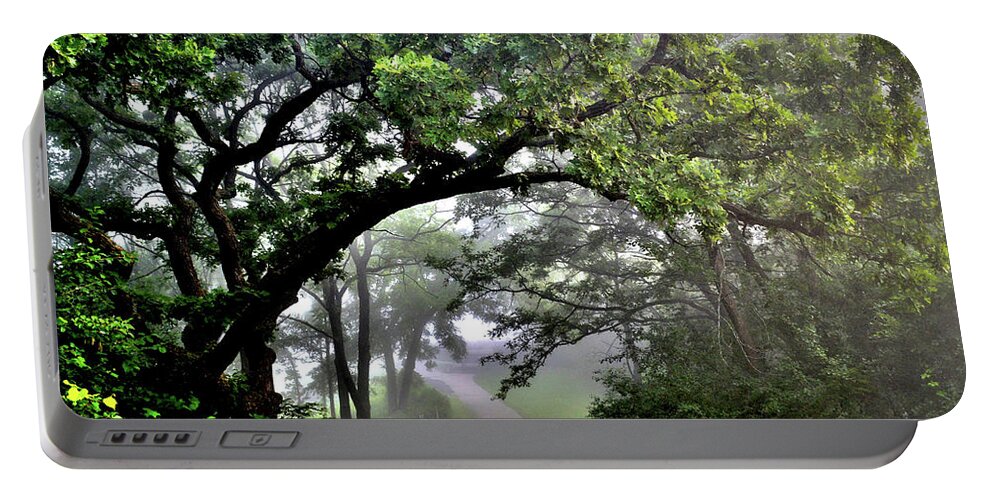 Fog Portable Battery Charger featuring the photograph Summer Path by Susie Loechler