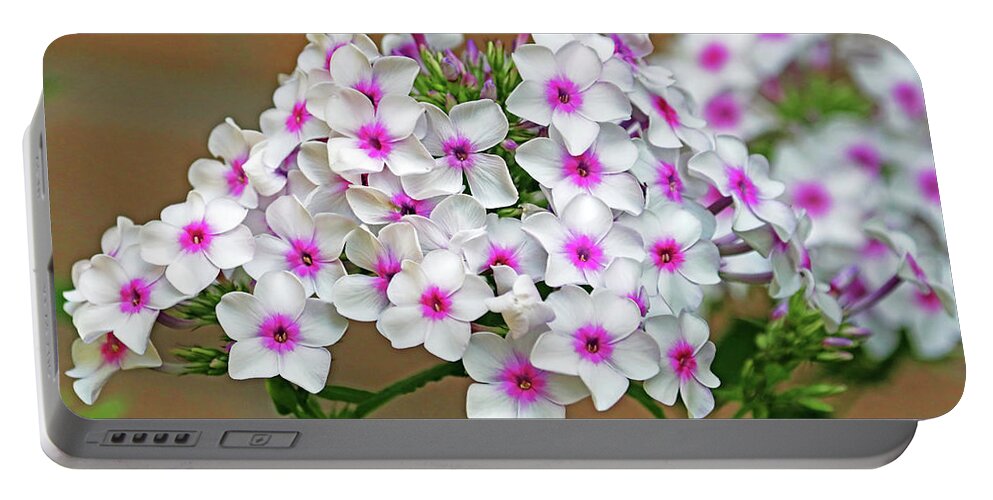 Phlox Portable Battery Charger featuring the photograph Summer Phlox by Debbie Oppermann