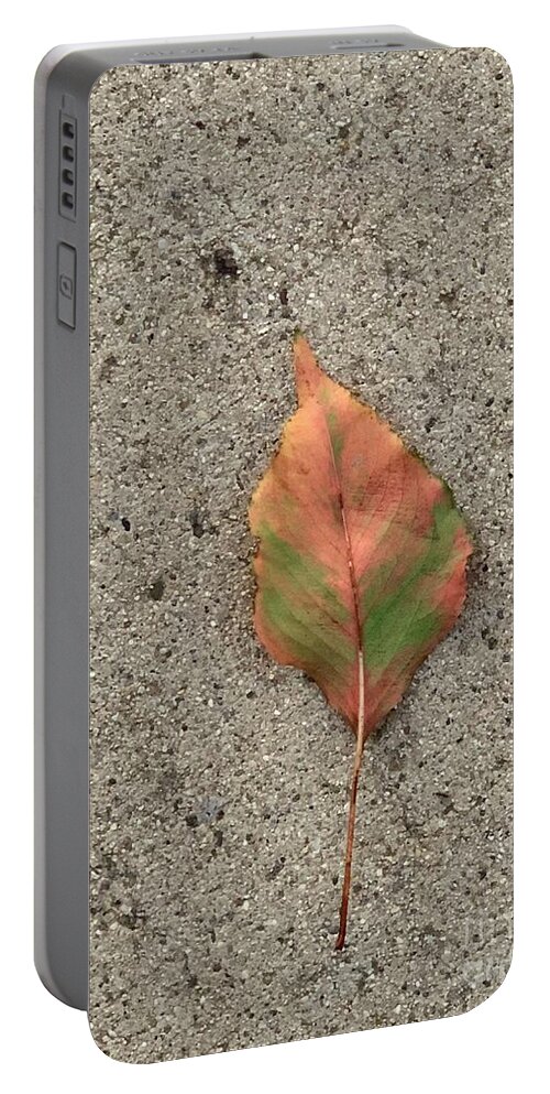 Leaf Portable Battery Charger featuring the photograph Summer Shift by Tiesa Wesen