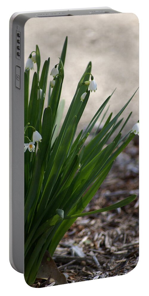  Portable Battery Charger featuring the photograph Summer Snowflake by Heather E Harman
