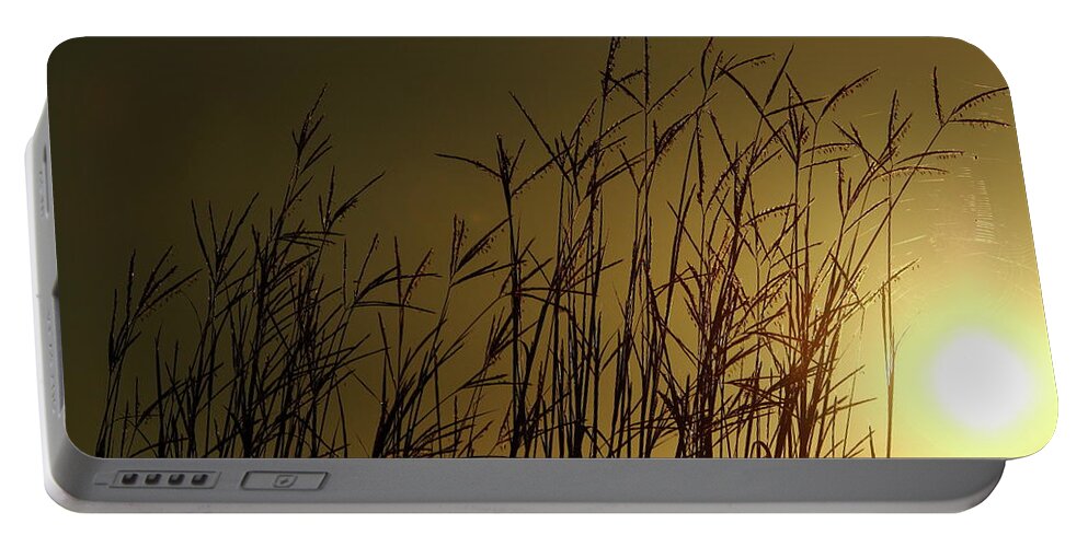 Field Portable Battery Charger featuring the photograph Summer Sunrise by Lens Art Photography By Larry Trager