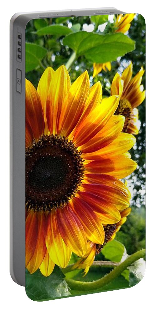 Sun Glow Flower Portable Battery Charger featuring the digital art Sun Glow Face by Pamela Smale Williams