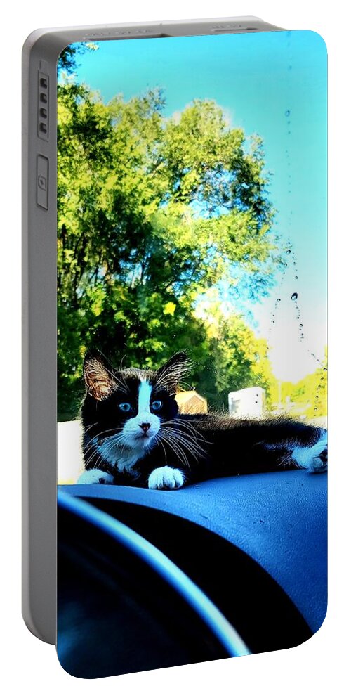 Sun Portable Battery Charger featuring the photograph Sunbathing on the dash by Shalane Poole