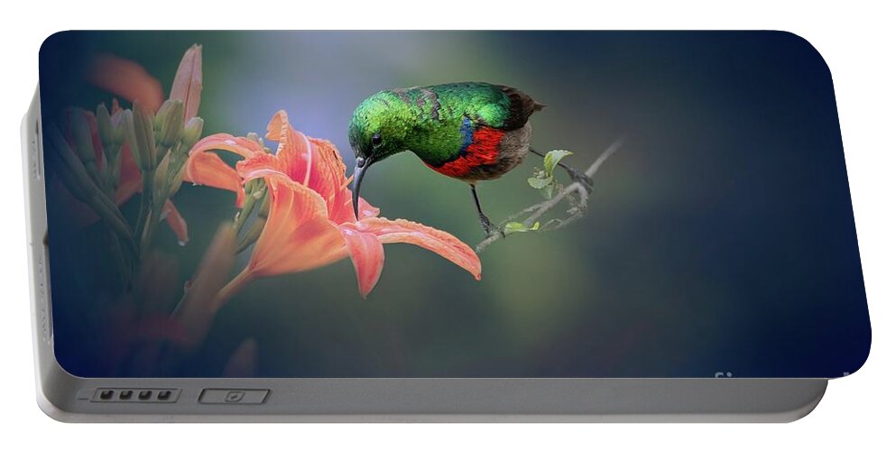 Southern Double-collared Sunbird Portable Battery Charger featuring the photograph Sunbird Sucking by Eva Lechner