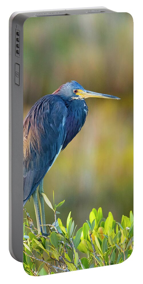 R5-2601 Portable Battery Charger featuring the photograph Sunday morning scout by Gordon Elwell