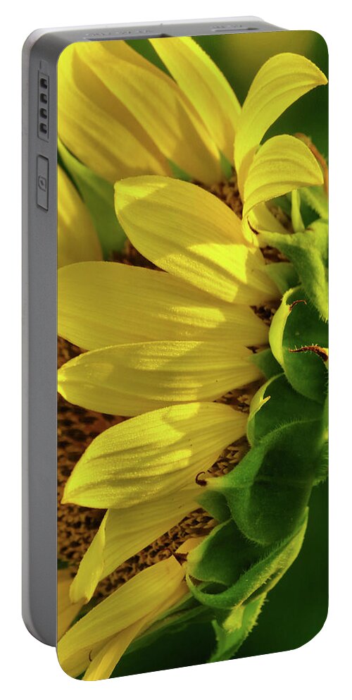 Sunflower Portable Battery Charger featuring the photograph Sunflower 1 by Buddy Scott