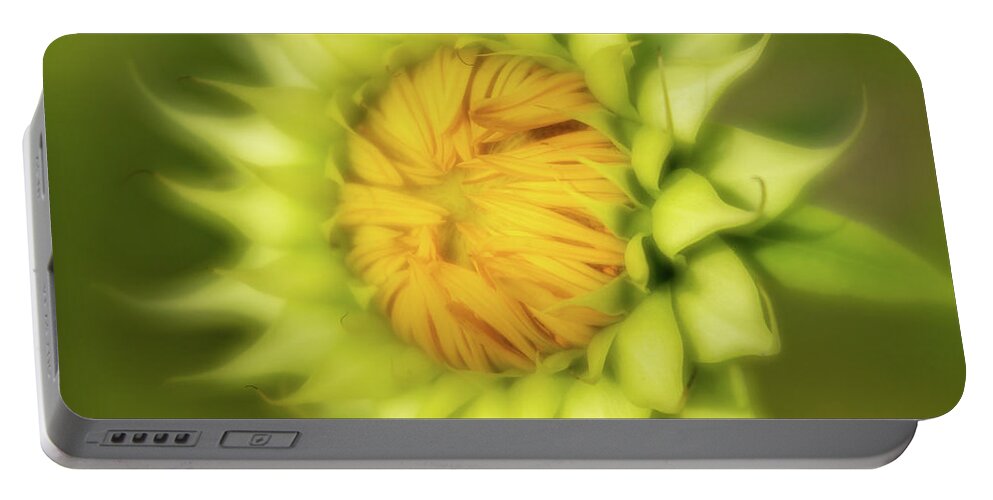 2020 Portable Battery Charger featuring the photograph Sunflower-3 by Charles Hite