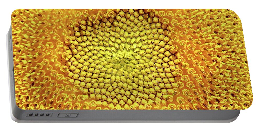 Sunflower Portable Battery Charger featuring the photograph Sunflower Center by Lens Art Photography By Larry Trager