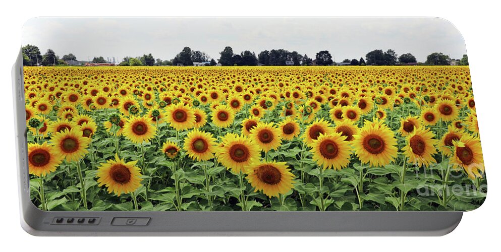 Sunflowers Portable Battery Charger featuring the photograph Sunflower Field 9464 by Jack Schultz