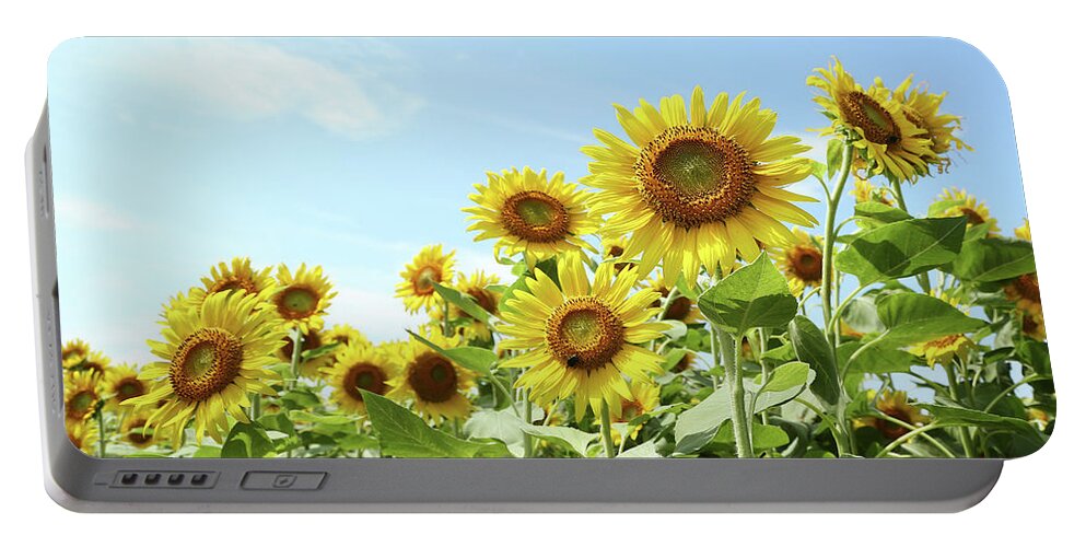 Sunflower Portable Battery Charger featuring the photograph Sunflower Field by Kaoru Shimada