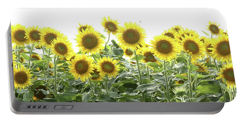 Sunflower Garden Portable Battery Charger featuring the photograph Sunflower garden by Kaoru Shimada