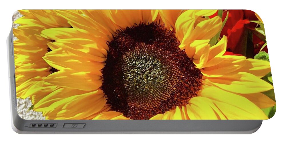 Sunflower Portable Battery Charger featuring the photograph Sunflower by Lana Sylber