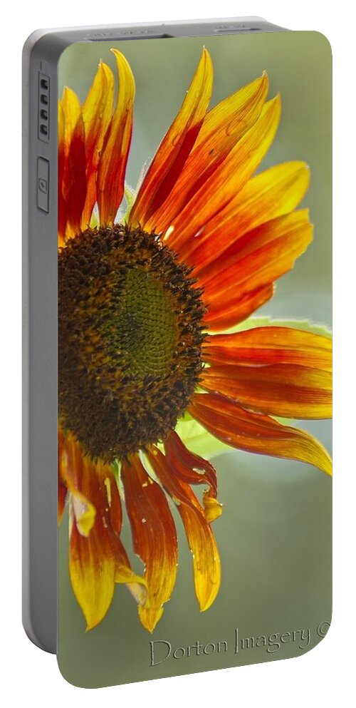  Portable Battery Charger featuring the photograph Sunflower by Stephen Dorton