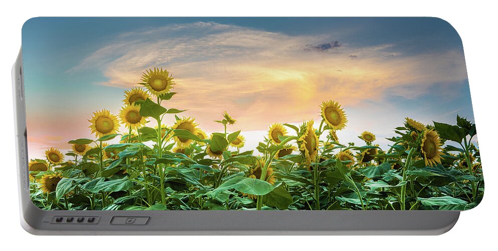 Sunflower Portable Battery Charger featuring the photograph Sunflower Sunset Autaugaville Alabama by Jordan Hill