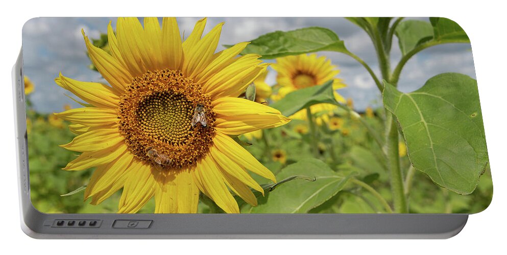 Sunflower Portable Battery Charger featuring the photograph Sunflower with Honeybee by Carolyn Hutchins