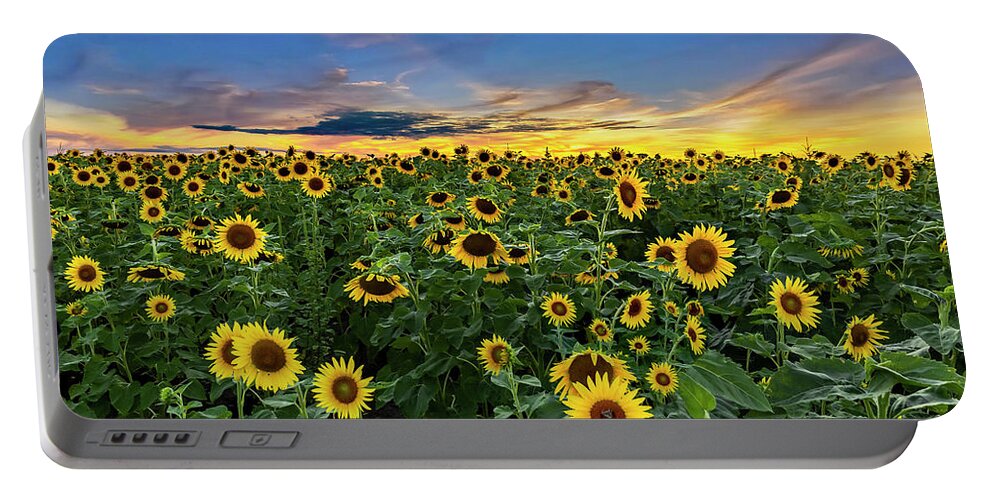 Sunflowers Portable Battery Charger featuring the photograph Sunflowers at Sunset -Panorama by Harold Rau