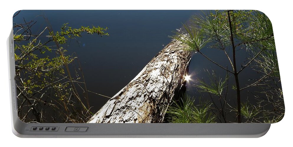 Tree Portable Battery Charger featuring the photograph Sunk by Ed Williams