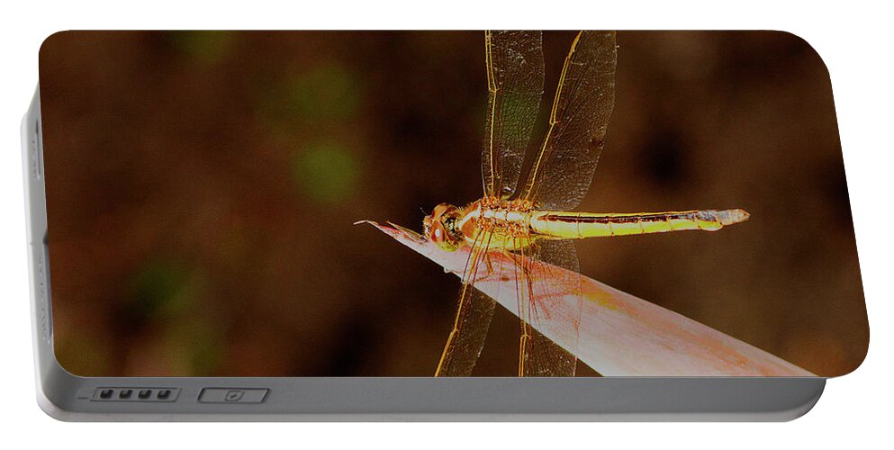 Dragonfly Portable Battery Charger featuring the photograph Sunning Dragon by Bill Barber