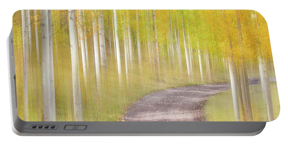 Fall Colors Portable Battery Charger featuring the photograph Sunny Stroll Through the Woods by Darren White