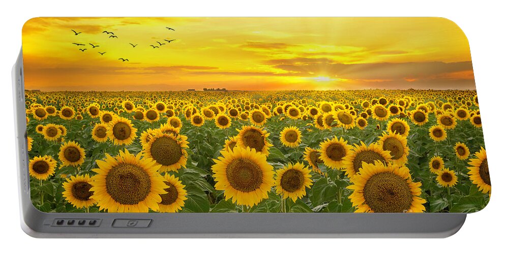 Sunflower Portable Battery Charger featuring the photograph Sunrays and Sunflowers by Ronda Kimbrow