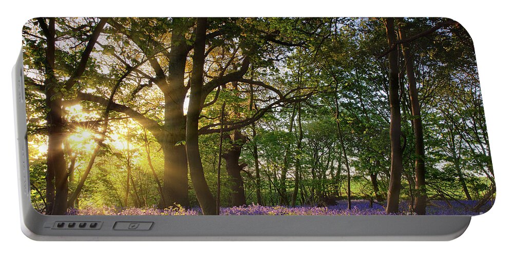 Bluebell Forest Portable Battery Charger featuring the photograph Sunrise in bluebell woods in Norfolk UK by Simon Bratt