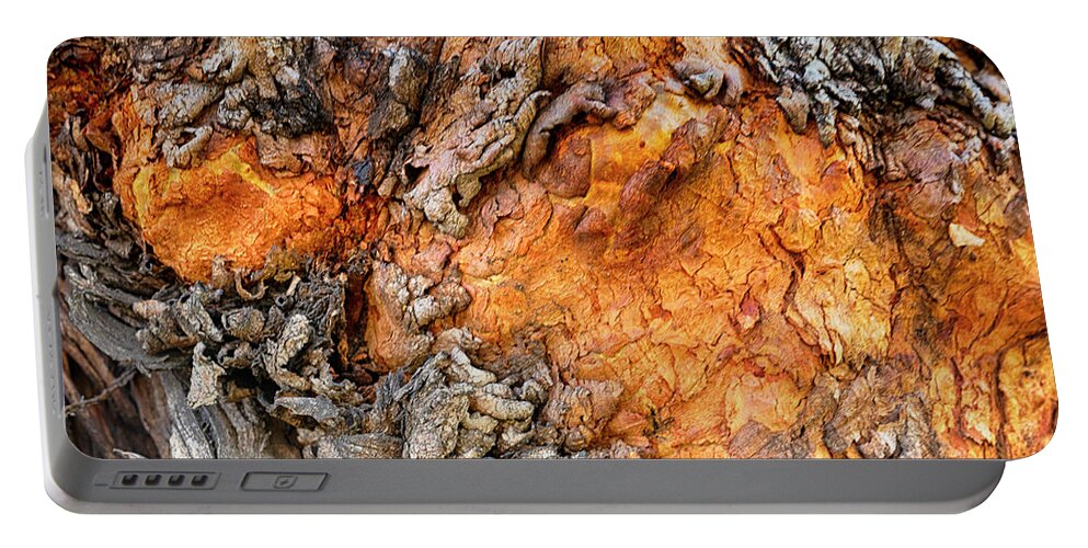 Australia Portable Battery Charger featuring the photograph Sunset Bark by Jay Heifetz