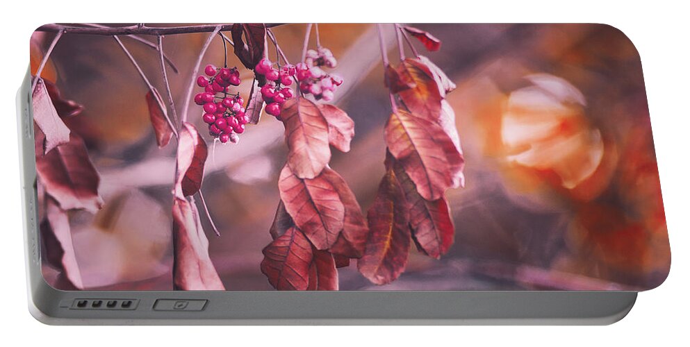 Stunning Nature Art Portable Battery Charger featuring the photograph Sunset Downs by Gian Smith