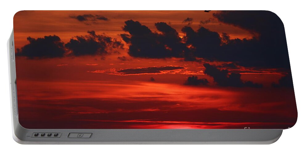 Osprey Portable Battery Charger featuring the photograph Sunset Flight of the Osprey by Tony Lee