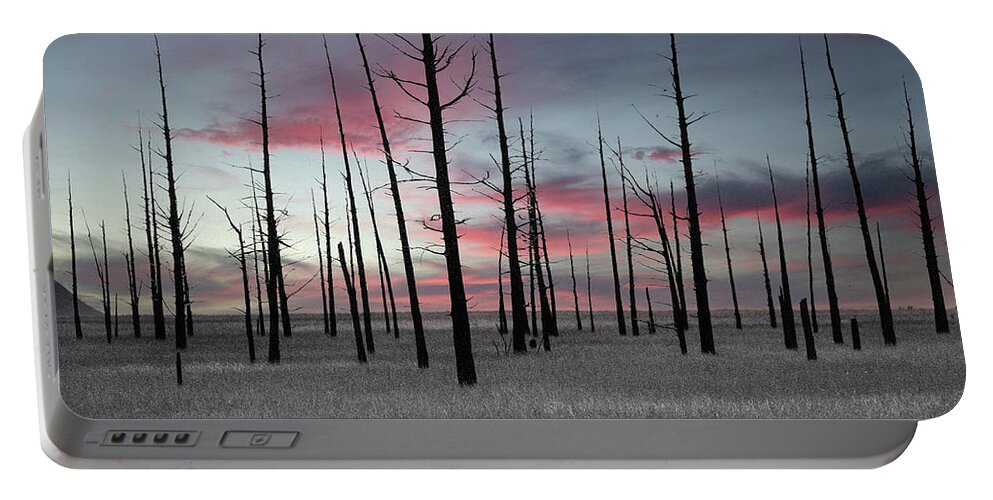 Art Portable Battery Charger featuring the photograph Sunset in the Cedar Swamp by Louis Dallara