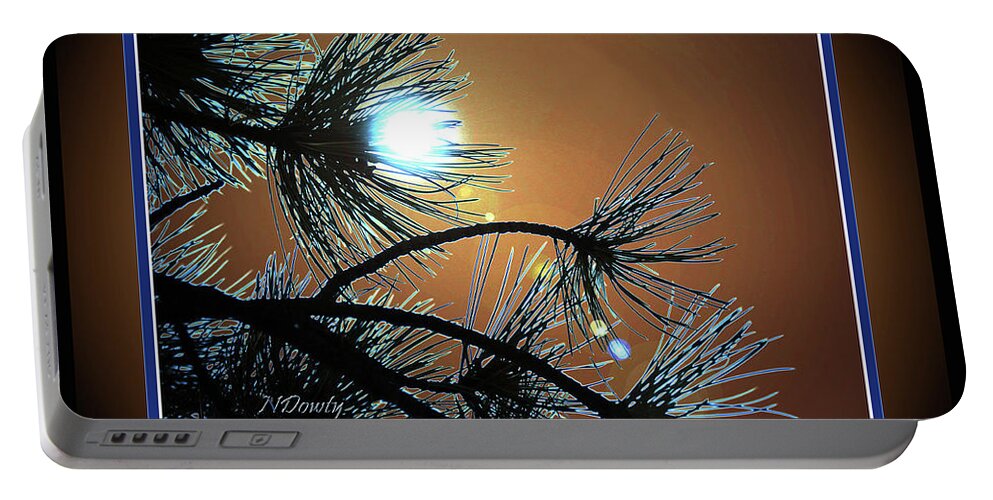 Sunset Pine Portable Battery Charger featuring the photograph Sunset Pine by Natalie Dowty