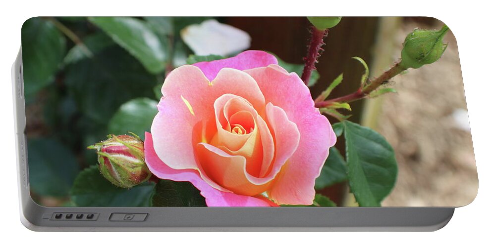 Ombre Portable Battery Charger featuring the photograph Sunset Ombre Rose by Kathy Pope