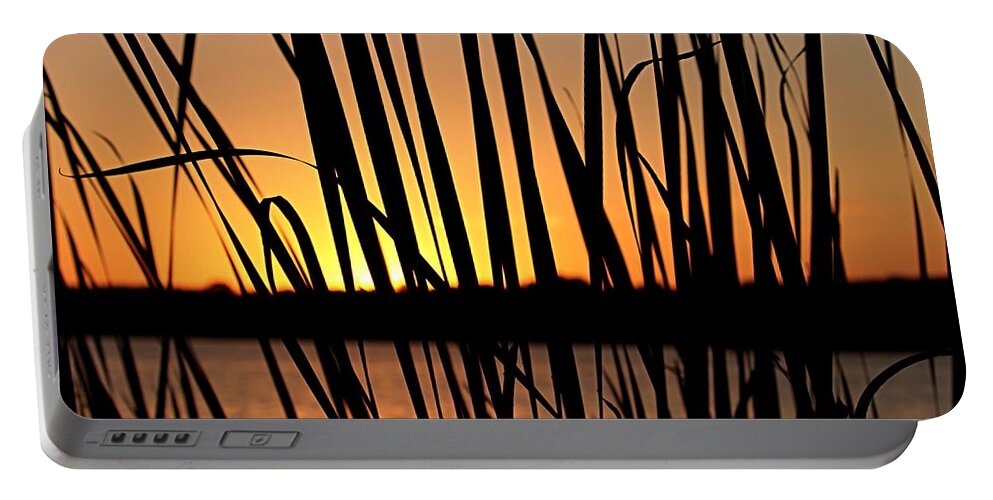 Sunset Portable Battery Charger featuring the photograph Sunset Through the Reeds by Mary Walchuck
