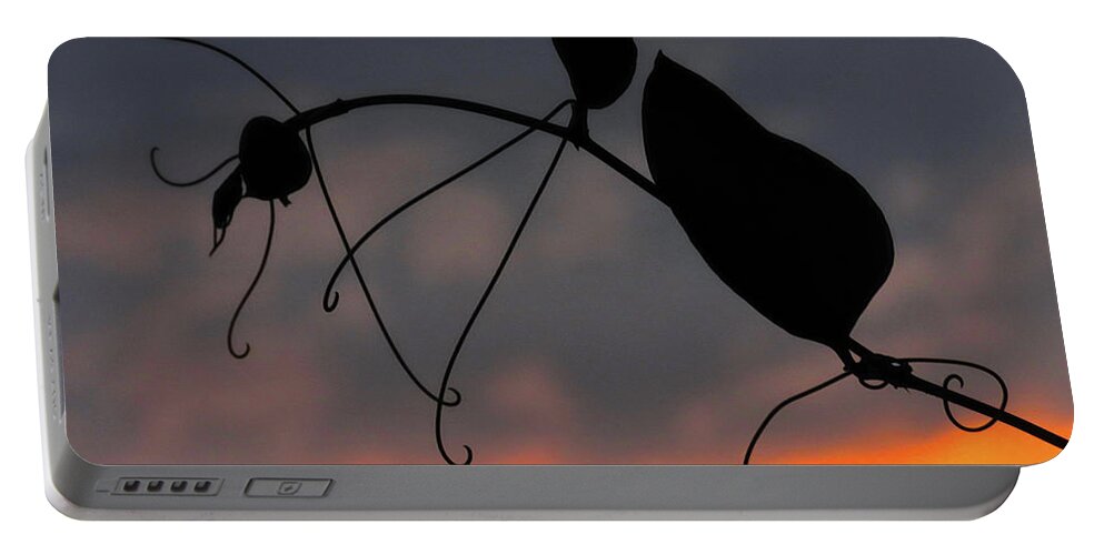 Vines Portable Battery Charger featuring the photograph Sunset Vine - Two by Linda Stern
