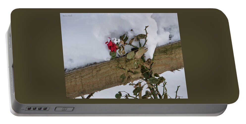 Rose Portable Battery Charger featuring the photograph Survivor by Rebecca Samler