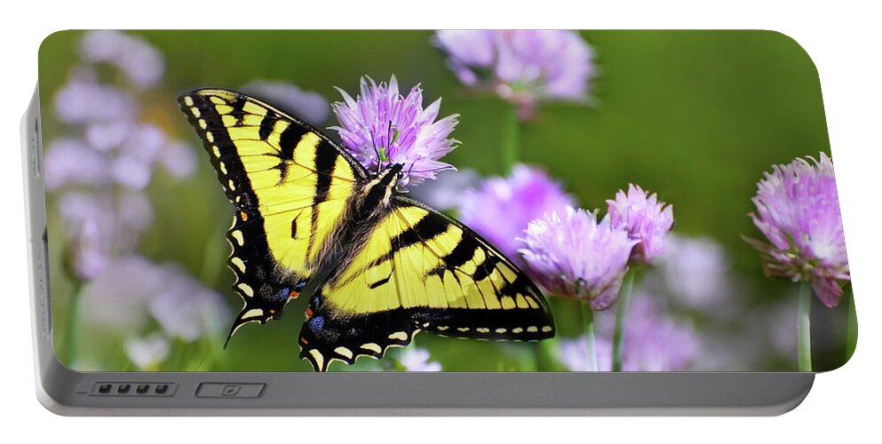 Swallowtail Butterfly Portable Battery Charger featuring the photograph Swallowtail Butterfly Dream by Christina Rollo