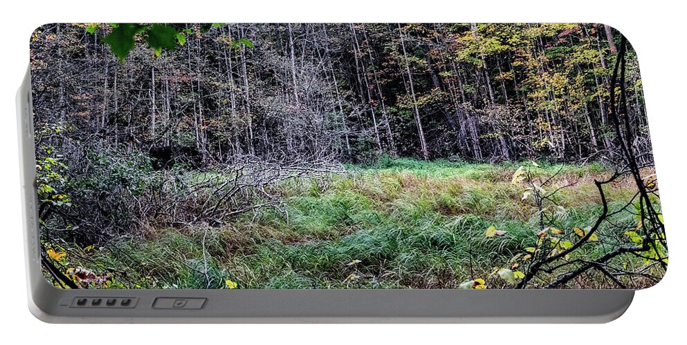 Usa Portable Battery Charger featuring the photograph Swamp clearing in the fall by Nathan Wasylewski