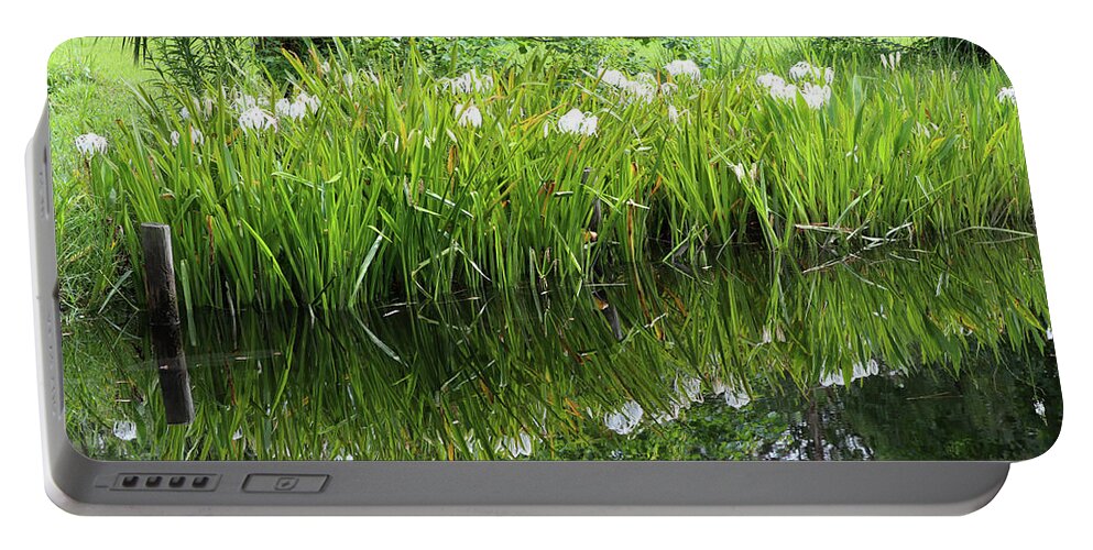 Swamp Portable Battery Charger featuring the photograph Swamp Spider Lilies by Mary Anne Delgado