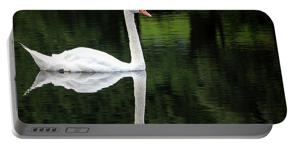 Petoskey Portable Battery Charger featuring the photograph Swan at Spring Lake by Robert Carter