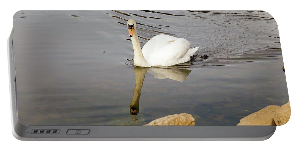 No People Portable Battery Charger featuring the photograph Swan on water by SAURAVphoto Online Store