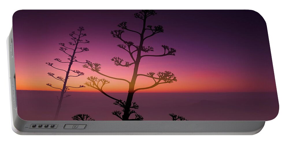 Agave Americana Portable Battery Charger featuring the photograph Swan song of an Agave Americana by Gary Browne